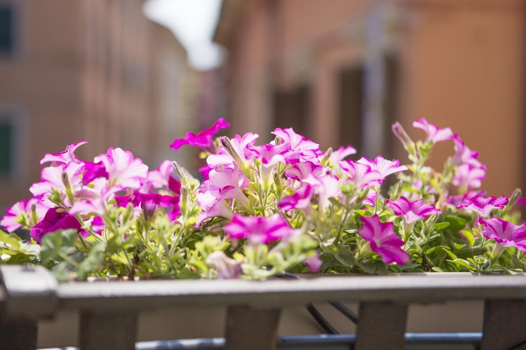 Lady Capulet Apartments Verona Exterior photo